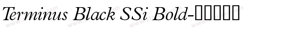 Terminus Black SSi Bold字体转换